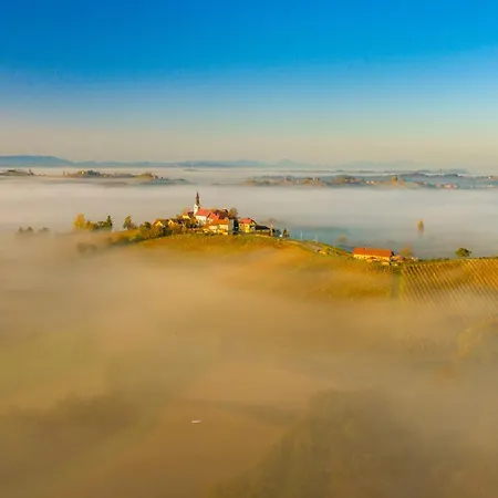 Narcisa * Veržej